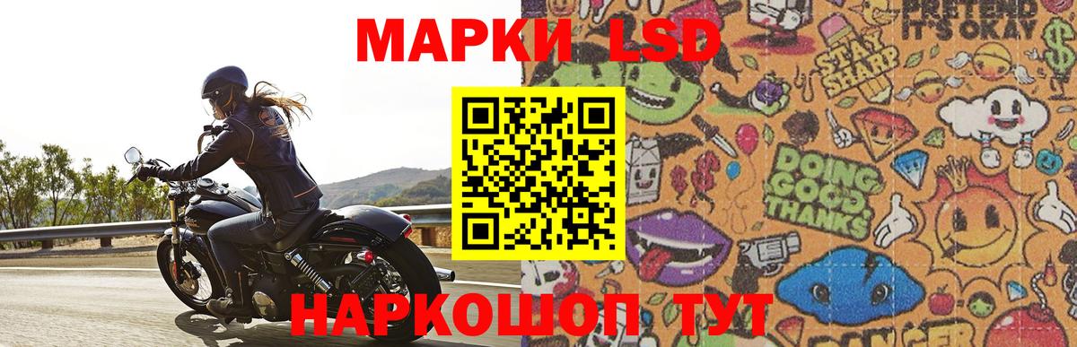 Лсд 25 экстази кислота  Вход с VPN  Камышлов  ЛСД экстази кислота 